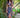 Sorrento Dress - Tosca Flower